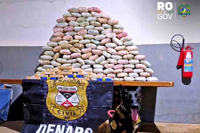 Polícia Civil apreende mais de 155 kg de drogas e armas de fogo