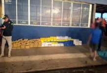 PM e PRF apreende mais de 338 kg de drogas em Alto Paraíso