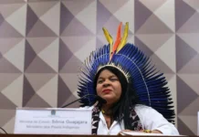 Ministra de Lula vai ao Senado debater expulsão de agricultores de terra indígena de Rondônia