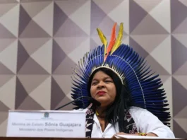 Ministra de Lula vai ao Senado debater expulsão de agricultores de terra indígena de Rondônia