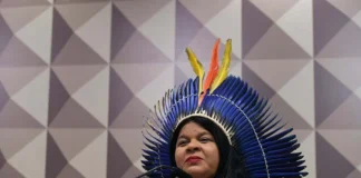 Ministra de Lula vai ao Senado debater expulsão de agricultores de terra indígena de Rondônia