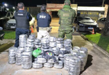 Operação conjuta apreende 173 kg de maconha em São Miguel do Guaporé