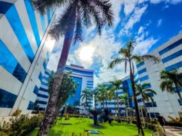 Decreto estabelece ponto facultativo no Carnaval 2026 e garante continuidade dos serviços essenciais