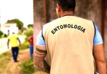 Ações de vigilância e orientação à população buscam reduzir criadouros do mosquito e prevenir casos de dengue, zika e chikungunya