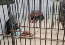 Polícia impede latrocínio e prende membros de facção em Jaci-Paraná