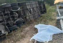 Acidente com ônibus de time de basquete deixa 7 atletas mortos no CE