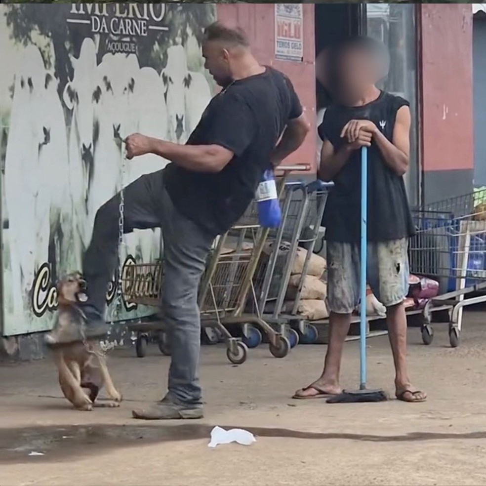 Homem é preso após ser filmado agredindo cachorro "caramelo" em Porto Velho — Foto: Reprodução/Redes sociais