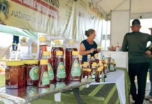 Agricultura familiar terá espaço gratuito no Festival das Nações 2026
