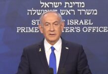 Netanyahu diz que piloto que esfaqueou colega queria derrubar avião da Flydubai