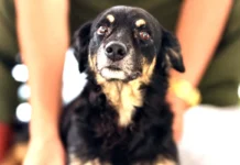 Comunidade supera doença, volta a andar e ganha uma nova chance de ser feliz