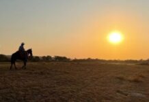 Aos 68 anos, cantor sertanejo mantém fazendas em dois estados e cria milhares de animais em uma delas