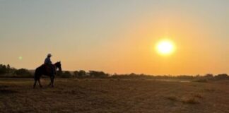 Aos 68 anos, cantor sertanejo mantém fazendas em dois estados e cria milhares de animais em uma delas