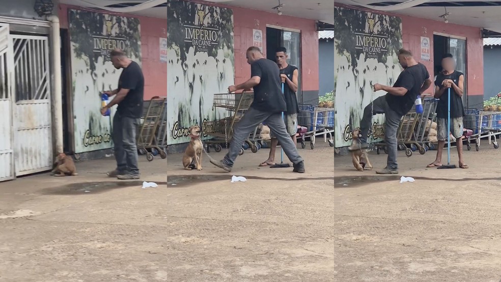 Homem é preso após ser filmado agredindo cachorro "caramelo" em Porto Velho — Foto: Reprodução/Redes sociais