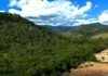 Vista aérea de uma paisagem verdejante na Mata Atlântica, evidenciando o contraste entre a floresta densa e um terreno desmatado.