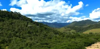 Agricultura expande 11 milhões de hectares na Mata Atlântica Vista aérea de uma paisagem verdejante na Mata Atlântica, evidenciando o contraste entre a floresta densa e um terreno desmatado.