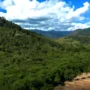 Agricultura expande 11 milhões de hectares na Mata Atlântica Vista aérea de uma paisagem verdejante na Mata Atlântica, evidenciando o contraste entre a floresta densa e um terreno desmatado.