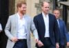 Príncipes William e Harry têm planos diferentes para homenagear Diana 30 anos após sua morte