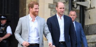 Príncipes William e Harry têm planos diferentes para homenagear Diana 30 anos após sua morte
