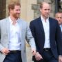 Príncipes William e Harry têm planos diferentes para homenagear Diana 30 anos após sua morte