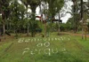 Parque Natural Municipal terá programação especial para o Dia das Crianças neste fim de semana Parque Natural Municipal terá programação especial para o Dia das Crianças neste fim de sem