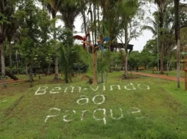 Parque Natural Municipal terá programação especial para o Dia das Crianças neste fim de semana Parque Natural Municipal terá programação especial para o Dia das Crianças neste fim de sem
