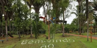 Parque Natural Municipal terá programação especial para o Dia das Crianças neste fim de semana Parque Natural Municipal terá programação especial para o Dia das Crianças neste fim de sem