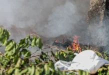 Fuma&ccedil;a e baixa umidade exigem cuidados redobrados com a sa&uacute;de em Porto Velho