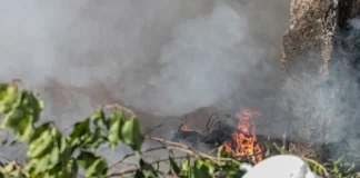 Fumaça e baixa umidade exigem cuidados redobrados com a saúde em Porto Velho Fumaça e baixa umidade exigem cuidados redobrados com a saúde em Porto Velho