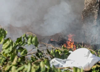 Fumaça e baixa umidade exigem cuidados redobrados com a saúde em Porto Velho Fumaça e baixa umidade exigem cuidados redobrados com a saúde em Porto Velho