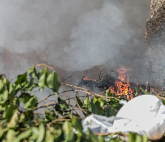 Fumaça e baixa umidade exigem cuidados redobrados com a saúde em Porto Velho Fumaça e baixa umidade exigem cuidados redobrados com a saúde em Porto Velho