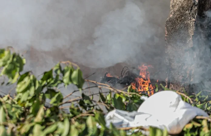 Fumaça e baixa umidade exigem cuidados redobrados com a saúde em Porto Velho Fumaça e baixa umidade exigem cuidados redobrados com a saúde em Porto Velho