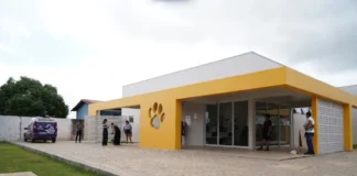Cl&iacute;nica de Bem-Estar Animal completa um ano com mais de 21 mil servi&ccedil;os realizados em Porto V