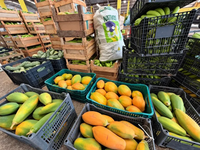 Grandes distâncias, menos custos: Transporte da Produção aproxima o campo do mercado em Port Grandes distâncias, menos custos: Transporte da Produção aproxima o campo do mercado em Port