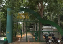 Parque Circuito reabre neste sábado (24) com muitas novidades Parque Circuito reabre neste sábado (24) com muitas novidades