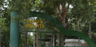 Parque Circuito reabre neste s&aacute;bado (24) com muitas novidades