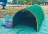Prefeitura instala abrigos para gatos em espaços públicos Prefeitura instala abrigos para gatos em espaços públicos