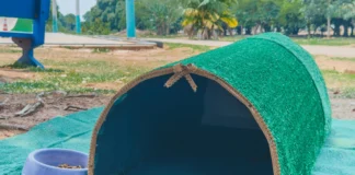 Prefeitura instala abrigos para gatos em espaços públicos Prefeitura instala abrigos para gatos em espaços públicos