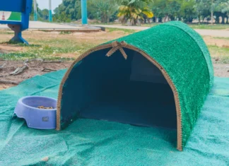 Prefeitura instala abrigos para gatos em espa&ccedil;os p&uacute;blicos