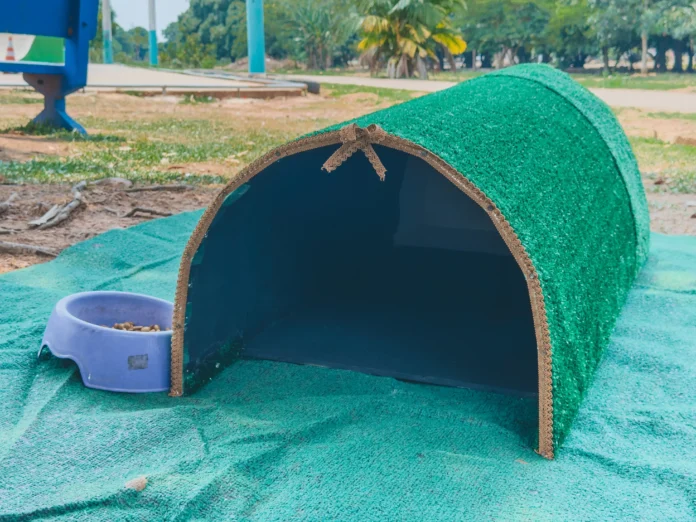 Prefeitura instala abrigos para gatos em espa&ccedil;os p&uacute;blicos