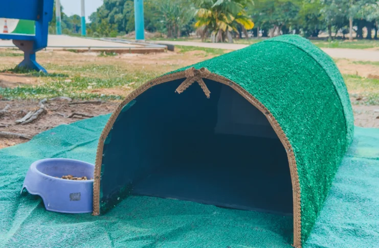 Prefeitura instala abrigos para gatos em espaços públicos Prefeitura instala abrigos para gatos em espaços públicos