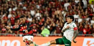 Flamengo e Palmeiras favoritos na Libertadores