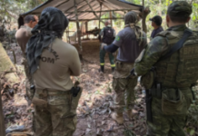 Polícia Federal deflagra operação contra extração ilegal de madeira em terra indígena em Rondônia