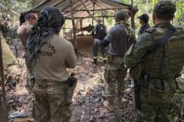 Polícia Federal deflagra operação contra extração ilegal de madeira em terra indígena em Rondônia