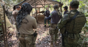 Polícia Federal deflagra operação contra extração ilegal de madeira em terra indígena em Rondônia
