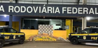 PRF apreende mais de 600 kg de drogas escondidos em caminhão na BR-364