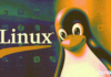 Mais Microsoft no Linux: antivírus Defender chega aos desktops