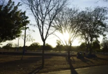 Previsão do Tempo: Calor intenso e chuvas persistem em grande parte do país Previsão do Tempo: Calor intenso e chuvas persistem em grande parte do país