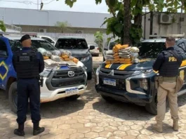 Homem é preso transportando 65 quilos de maconha na zona rural de Buritis