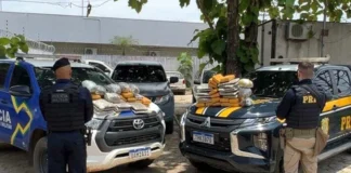 Homem é preso transportando 65 quilos de maconha na zona rural de Buritis