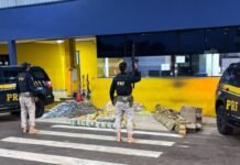 PRF apreende quase 500 quilos de droga em veículo de carga na BR-364 em Pimenta Bueno Agentes da Polícia Rodoviária Federal armados em frente ao posto policial, junto a duas viaturas pretas e dezenas de pacotes de droga apreendidos dispostos no chão.